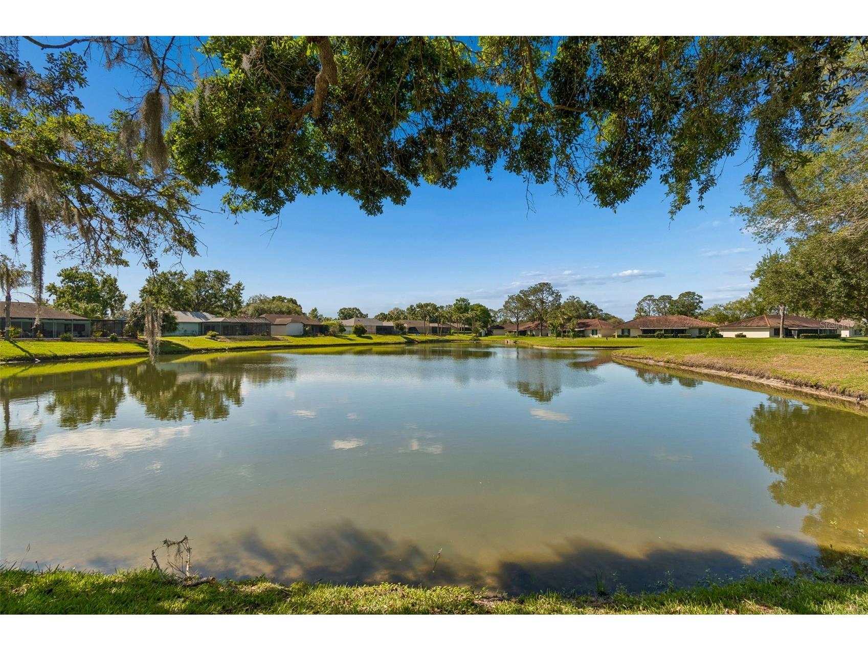 18529 Pebble Lake Court Tampa FL 33647 TB8499720 image46