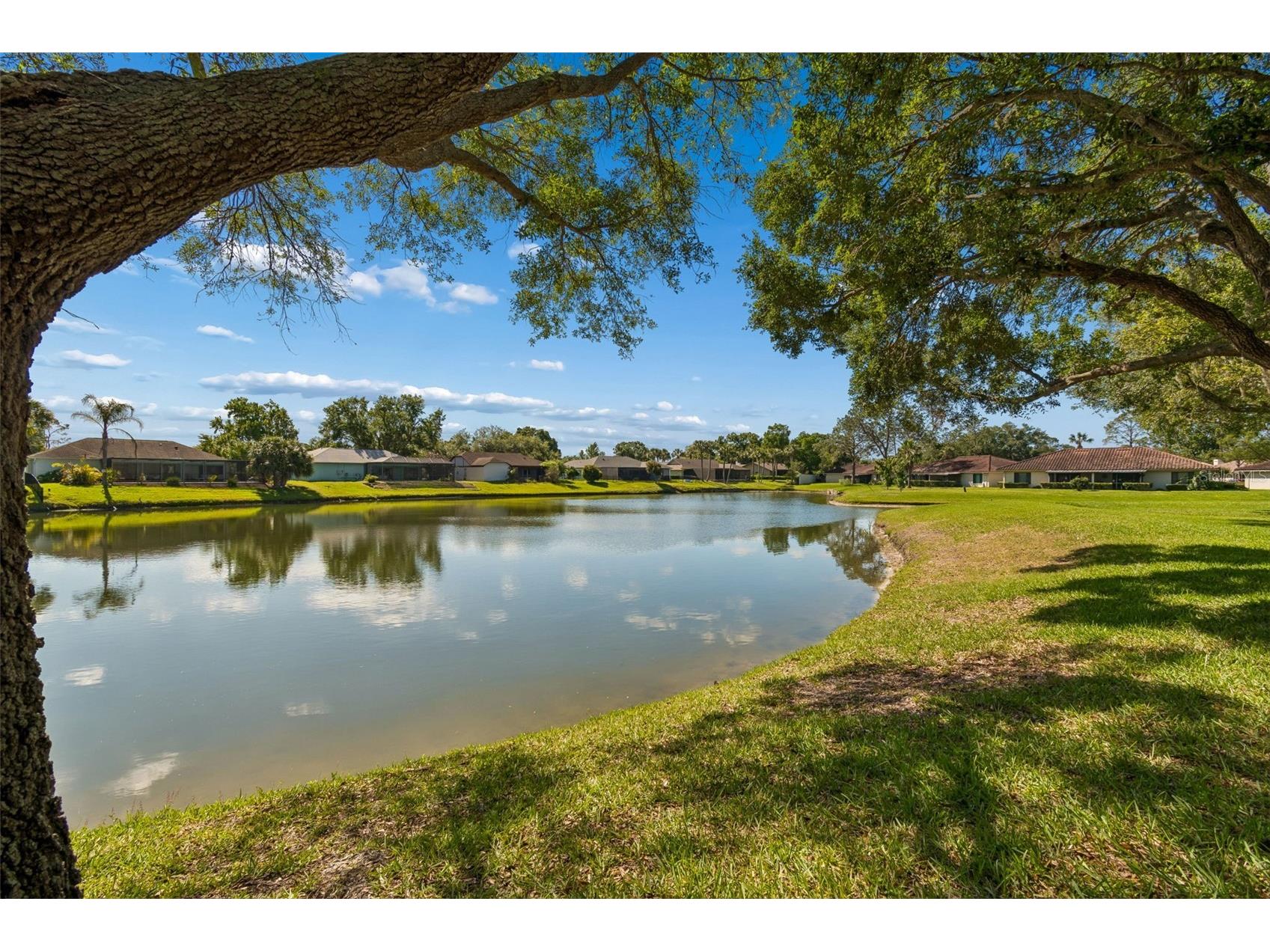 18529 Pebble Lake Court Tampa FL 33647 TB8499720 image47