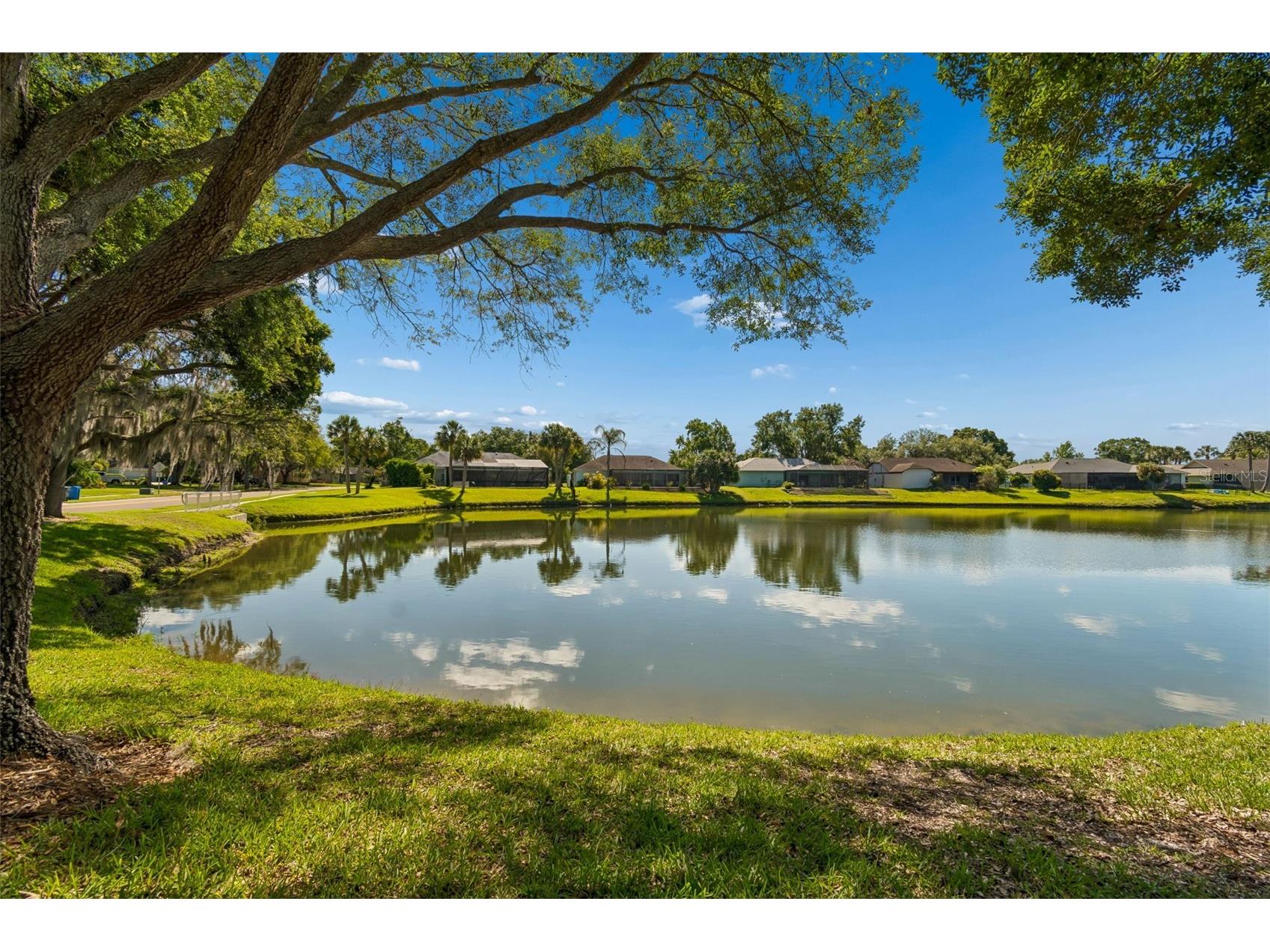 18529 Pebble Lake Court Tampa FL 33647 TB8499720 image50