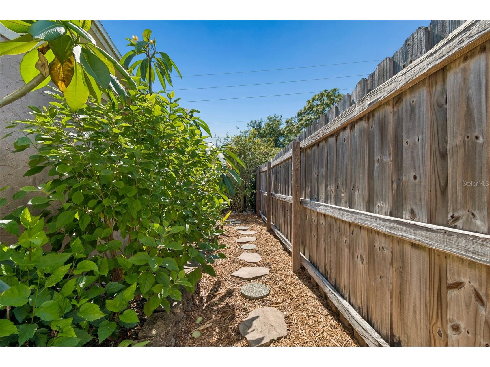 1853 Dartmouth Drive Holiday FL 34691 TB8510421 image52
