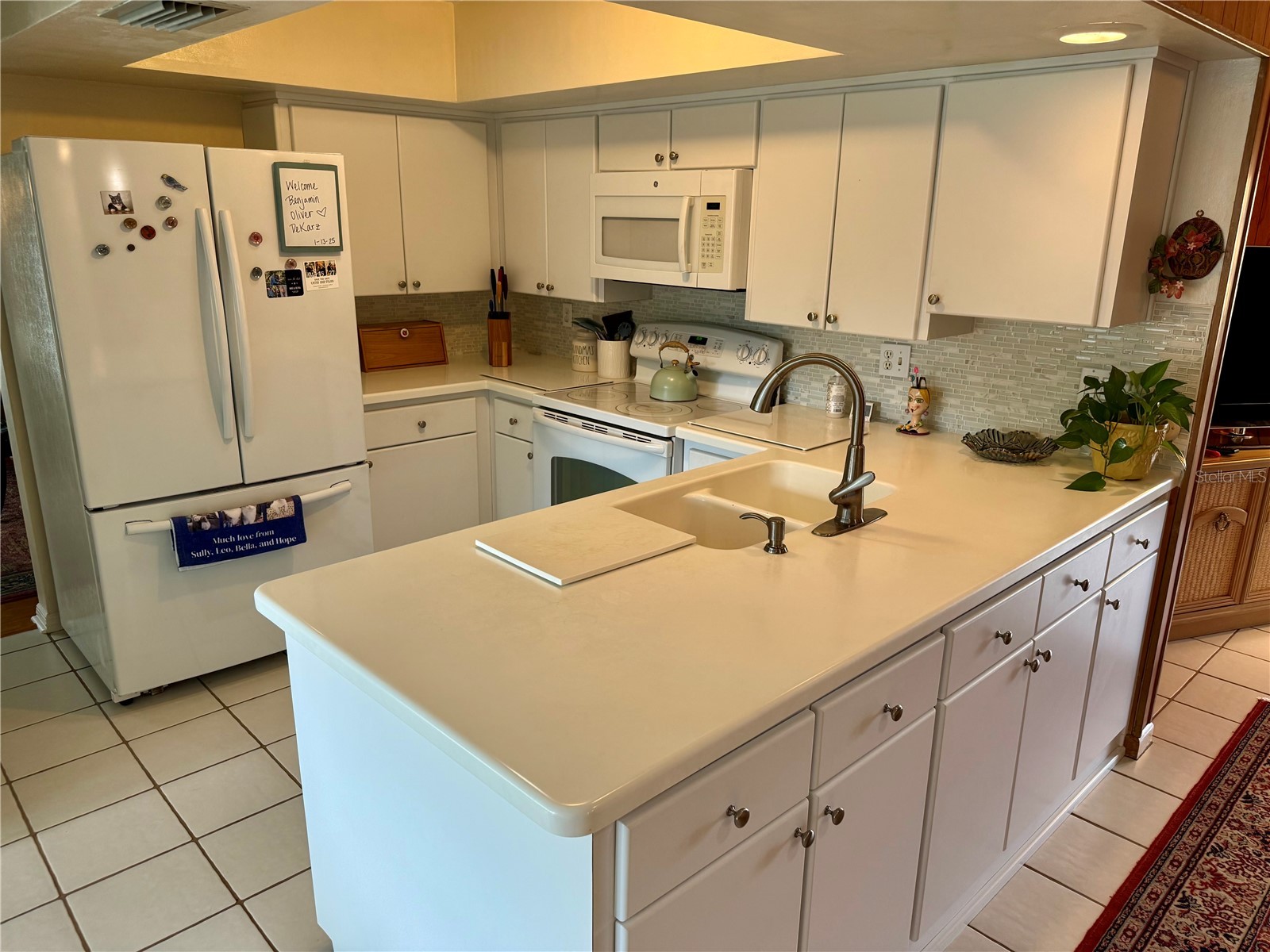 1853 Paradise Lane Clearwater FL 33756 TB8515076 image17