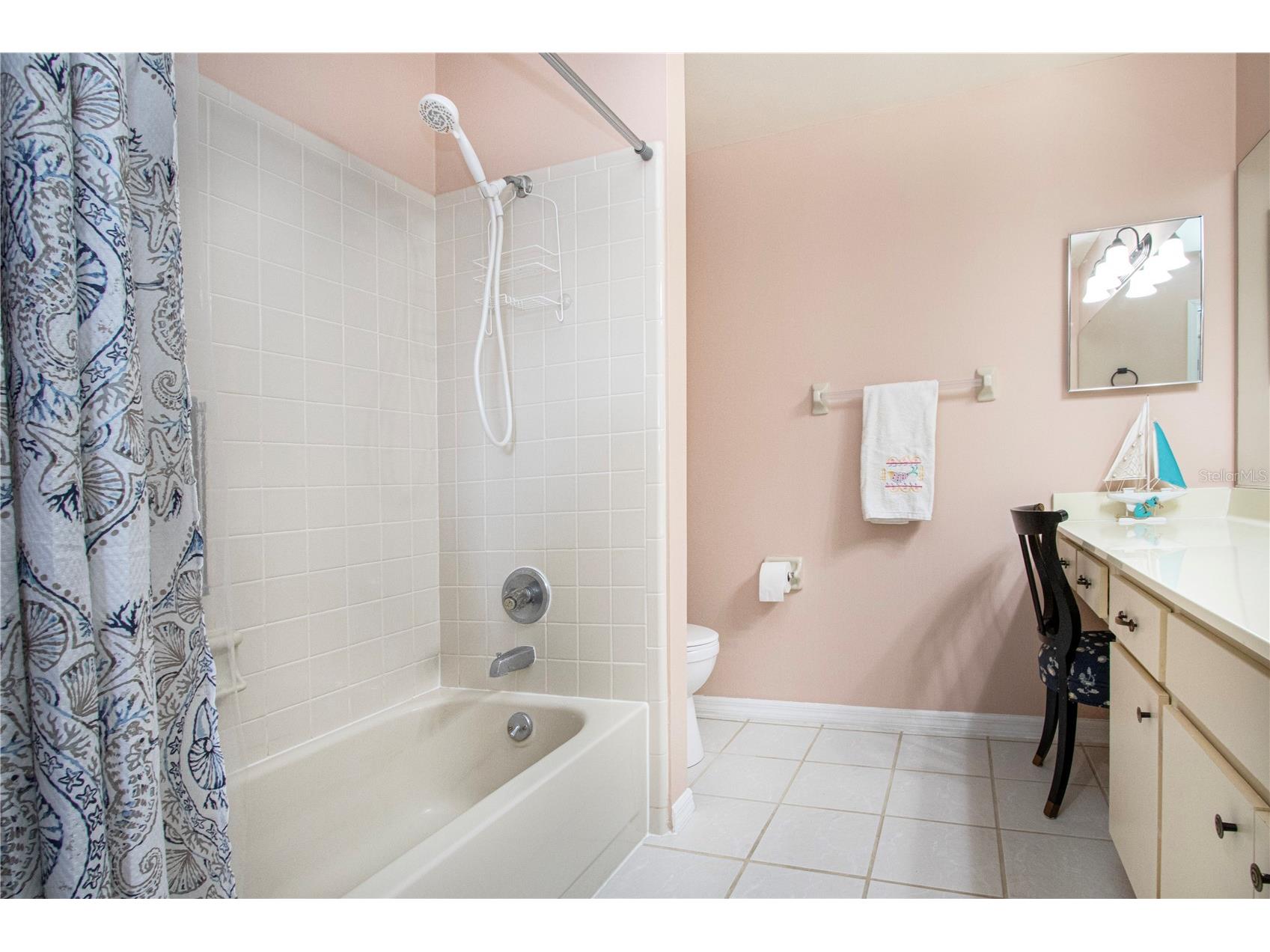 1853 Wolf Laurel Drive Sun City Center FL 33573 TB8467323 image49