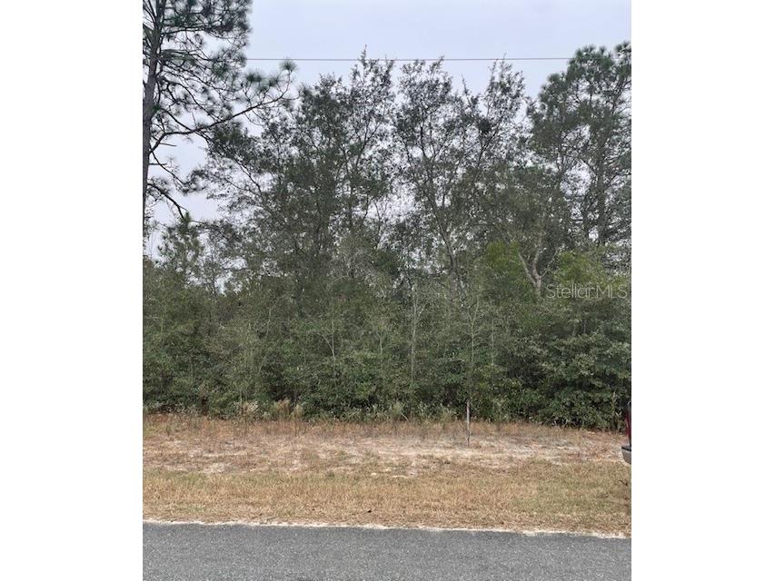18530 SW 44th Street Dunnellon FL 34432 OM714779 image1
