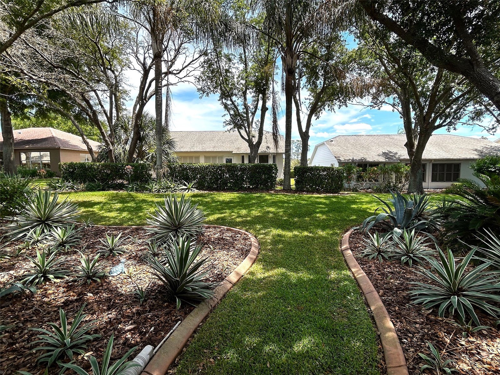 18530 Water Lily Lane Hudson FL 34667 TB8505420 image31