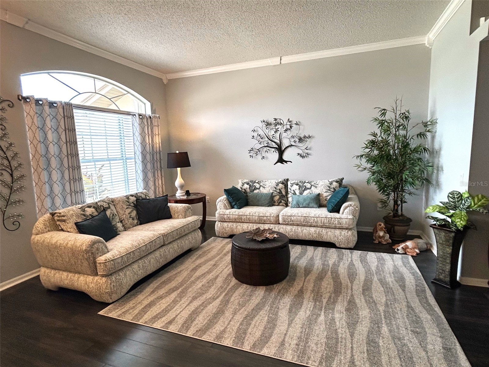 18530 Water Lily Lane Hudson FL 34667 TB8505420 image5