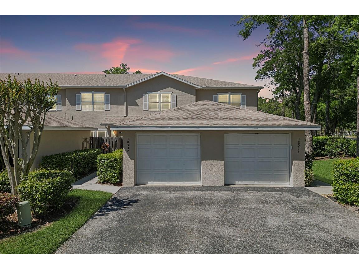 18532 Pebble Lake Court Tampa FL 33647 T3512676 image1