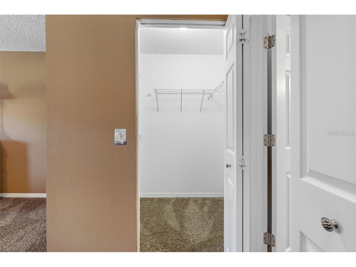 18534 Bent Pine Drive Hudson FL 34667 TB8449075 image24