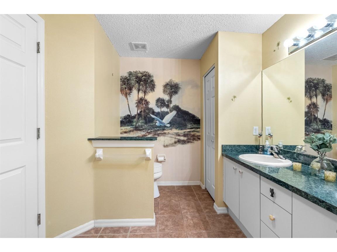 18534 Bent Pine Drive Hudson FL 34667 TB8449075 image26