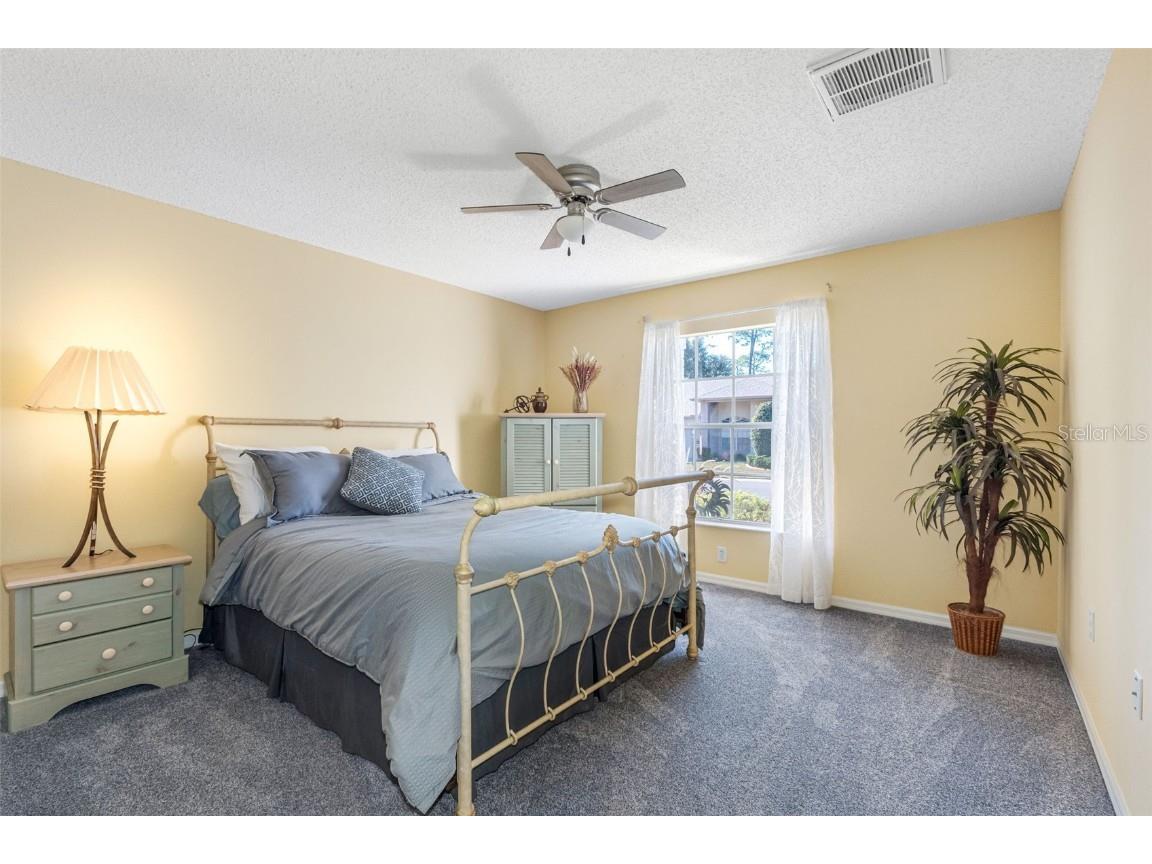 18534 Bent Pine Drive Hudson FL 34667 TB8449075 image28