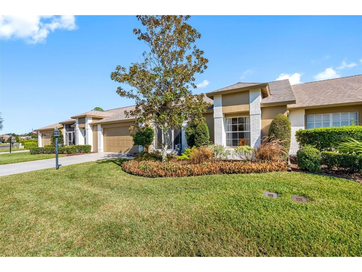 18534 Bent Pine Drive Hudson FL 34667 TB8449075 image35