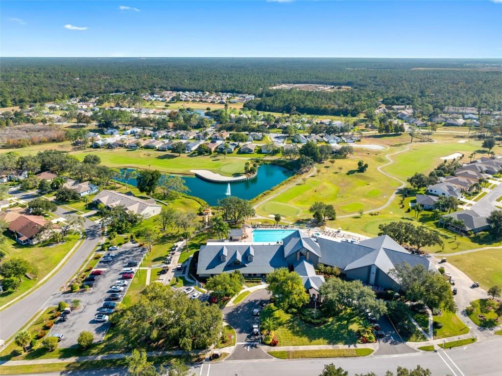 18534 Bent Pine Drive Hudson FL 34667 TB8449075 image45