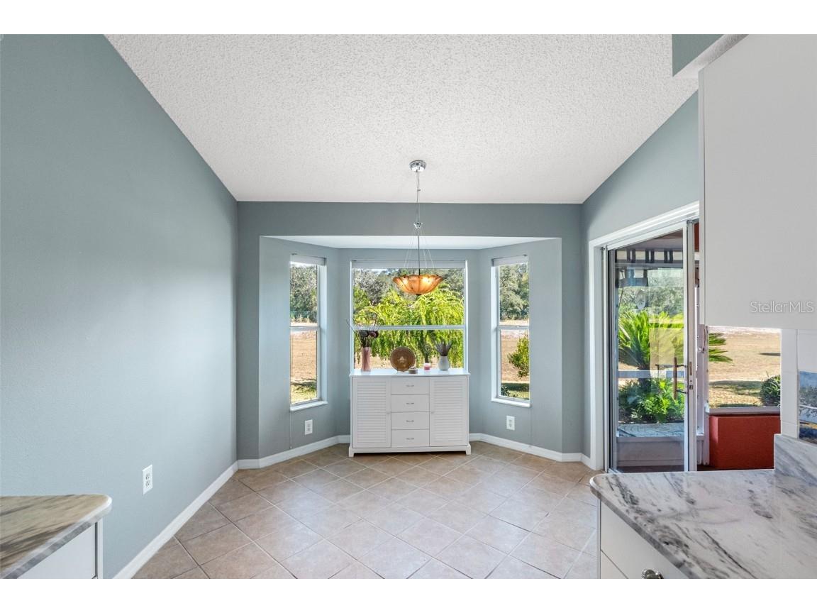 18534 Bent Pine Drive Hudson FL 34667 TB8449075 image8