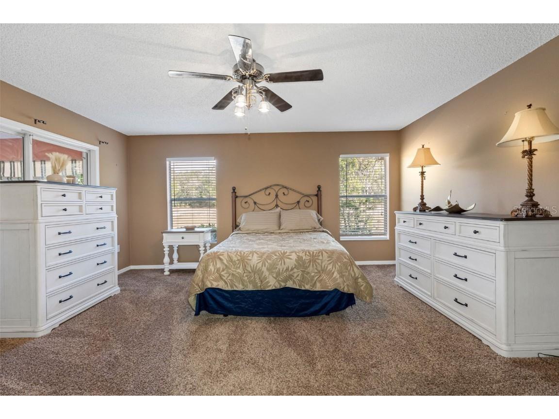 18534 Bent Pine Drive Hudson FL 34667 TB8449075 image9