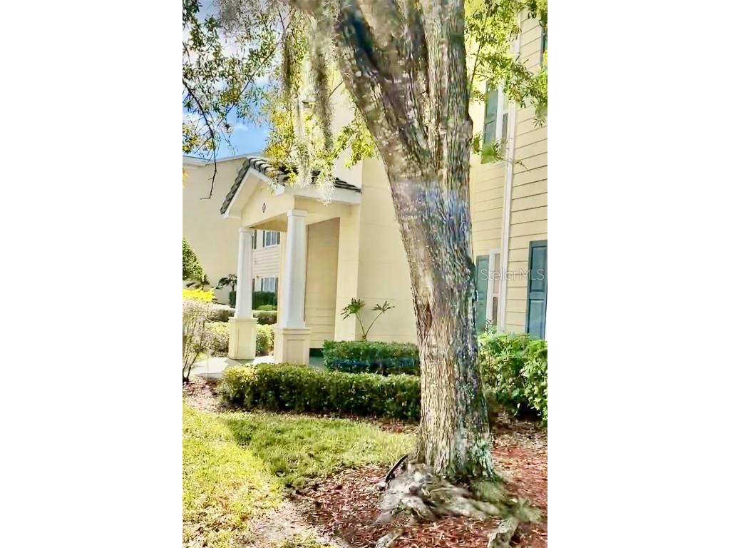 18535 Bridle Club Drive #18535 Tampa FL 33647 T3503781 image1