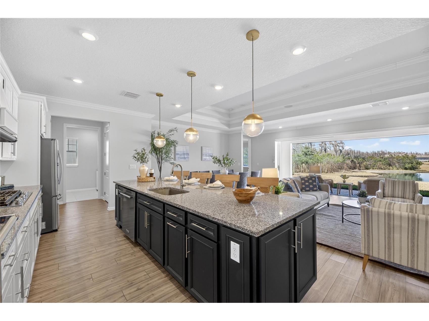 18535 Coastal Shore Terrace Land O Lakes FL 34638 S5142761 image10