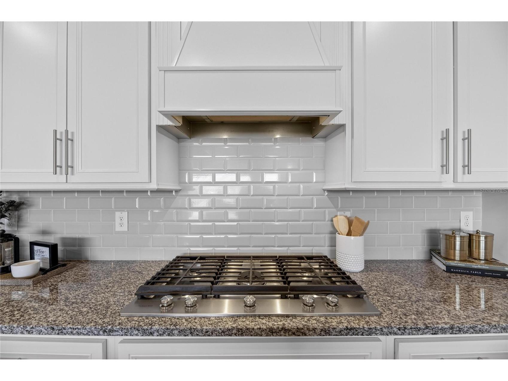 18535 Coastal Shore Terrace Land O Lakes FL 34638 S5142761 image11