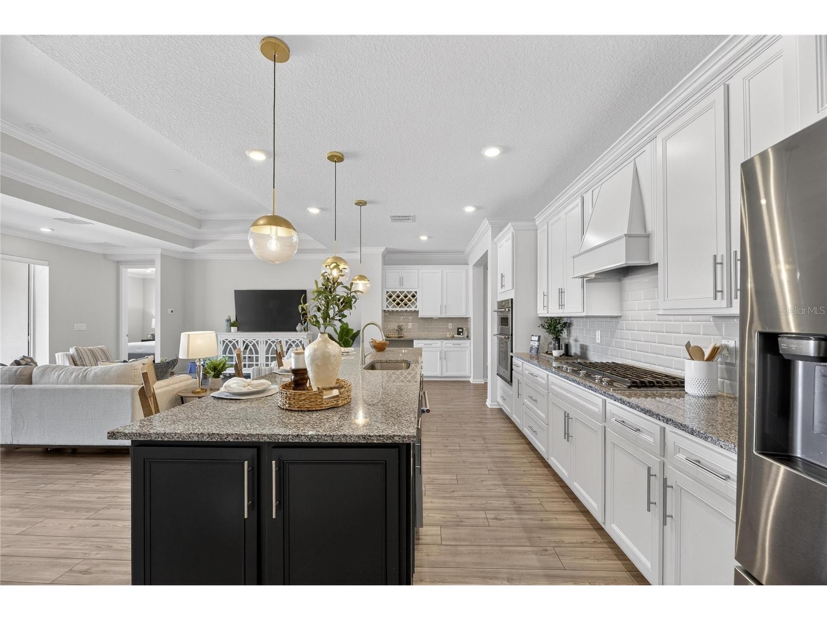 18535 Coastal Shore Terrace Land O Lakes FL 34638 S5142761 image12