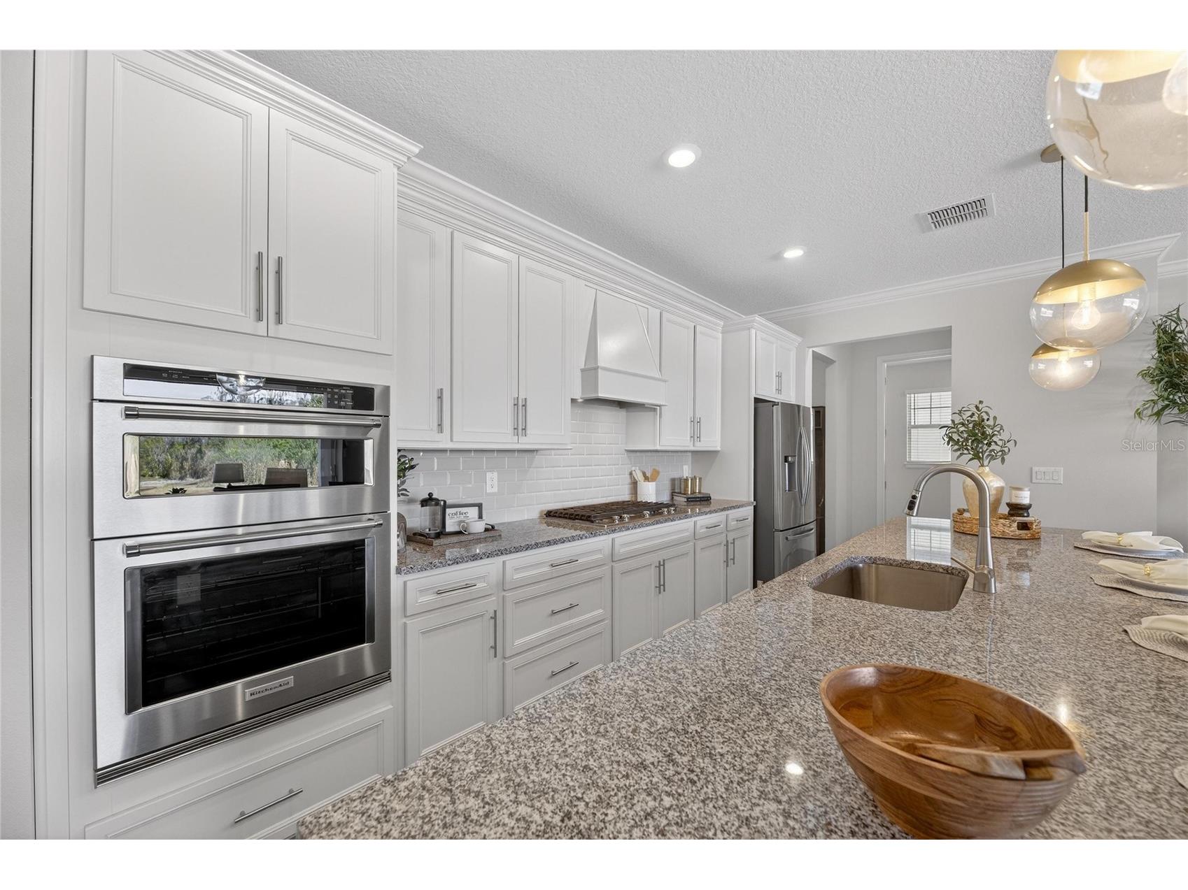 18535 Coastal Shore Terrace Land O Lakes FL 34638 S5142761 image13