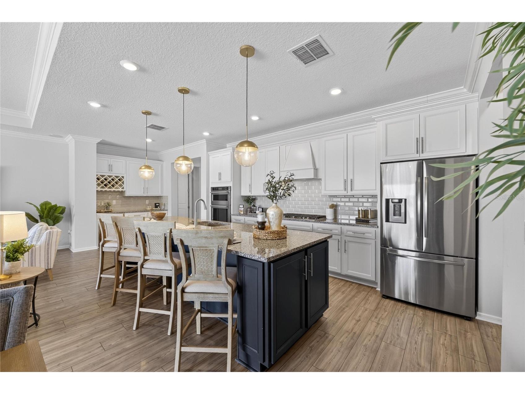 18535 Coastal Shore Terrace Land O Lakes FL 34638 S5142761 image14