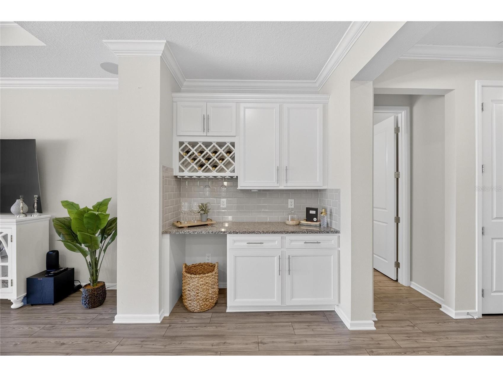 18535 Coastal Shore Terrace Land O Lakes FL 34638 S5142761 image18