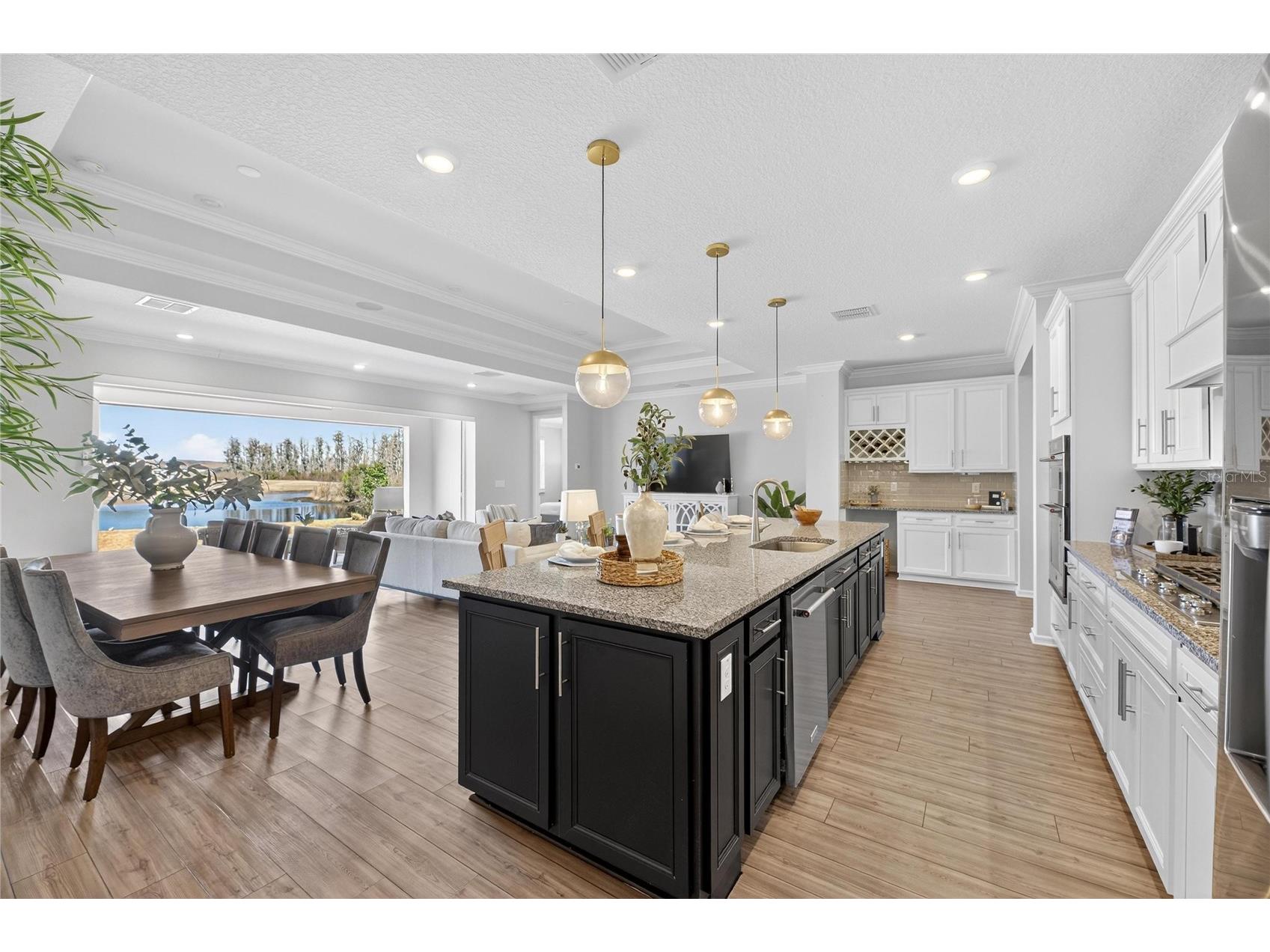 18535 Coastal Shore Terrace Land O Lakes FL 34638 S5142761 image2