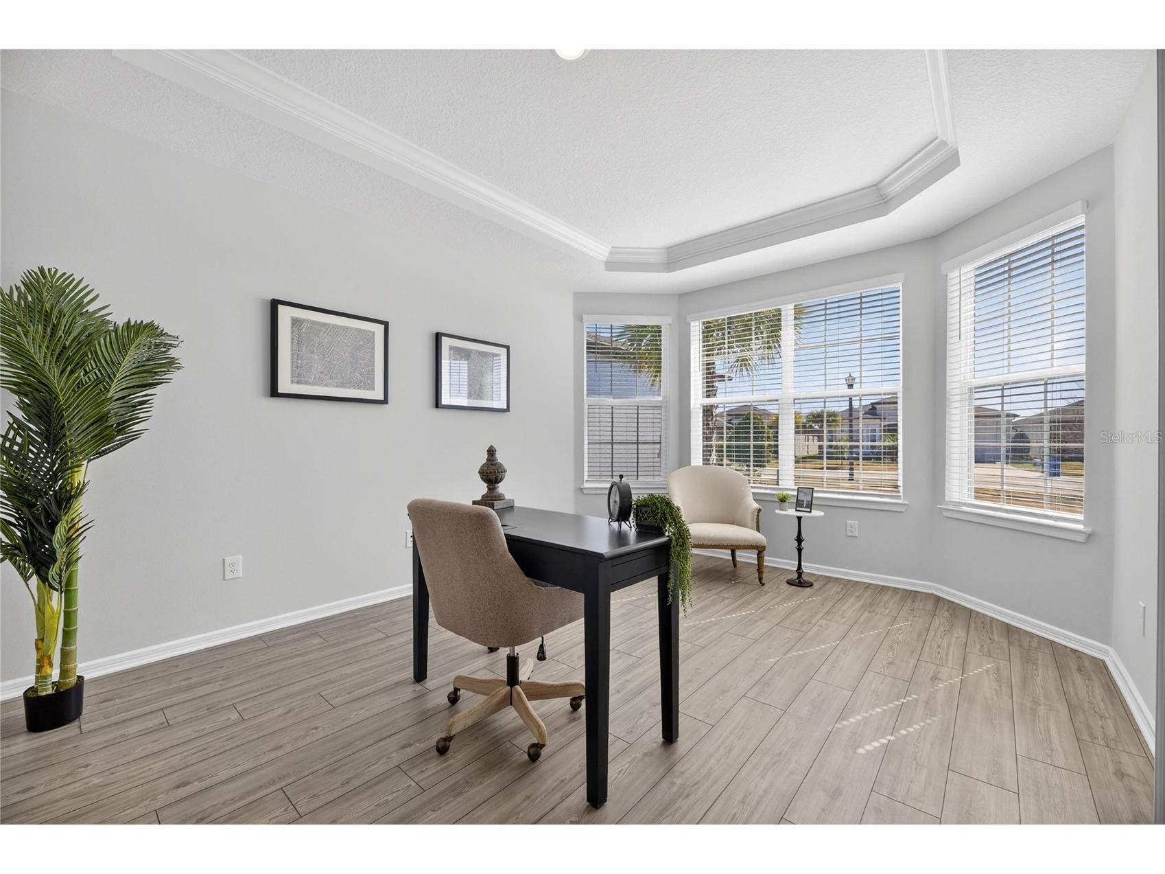 18535 Coastal Shore Terrace Land O Lakes FL 34638 S5142761 image32