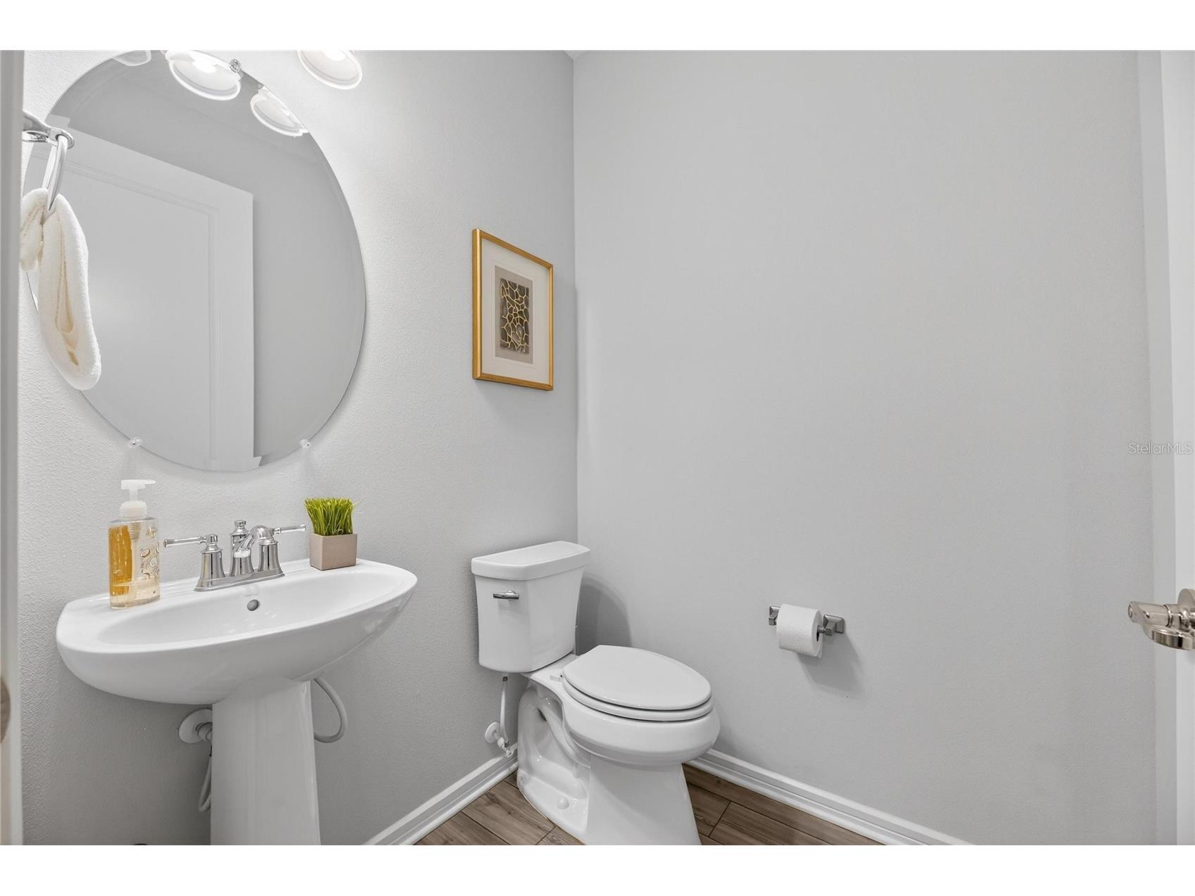 18535 Coastal Shore Terrace Land O Lakes FL 34638 S5142761 image33