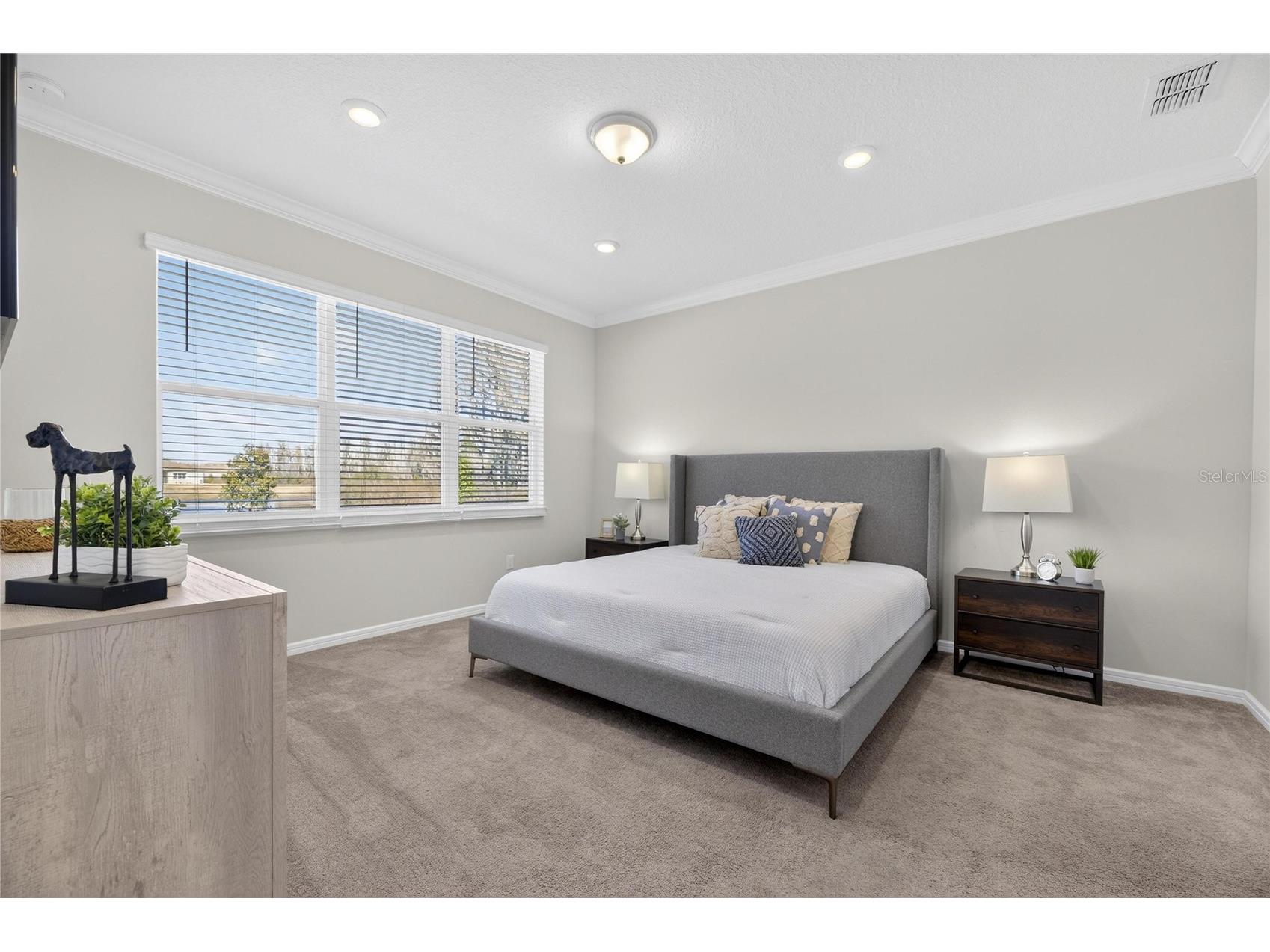 18535 Coastal Shore Terrace Land O Lakes FL 34638 S5142761 image34