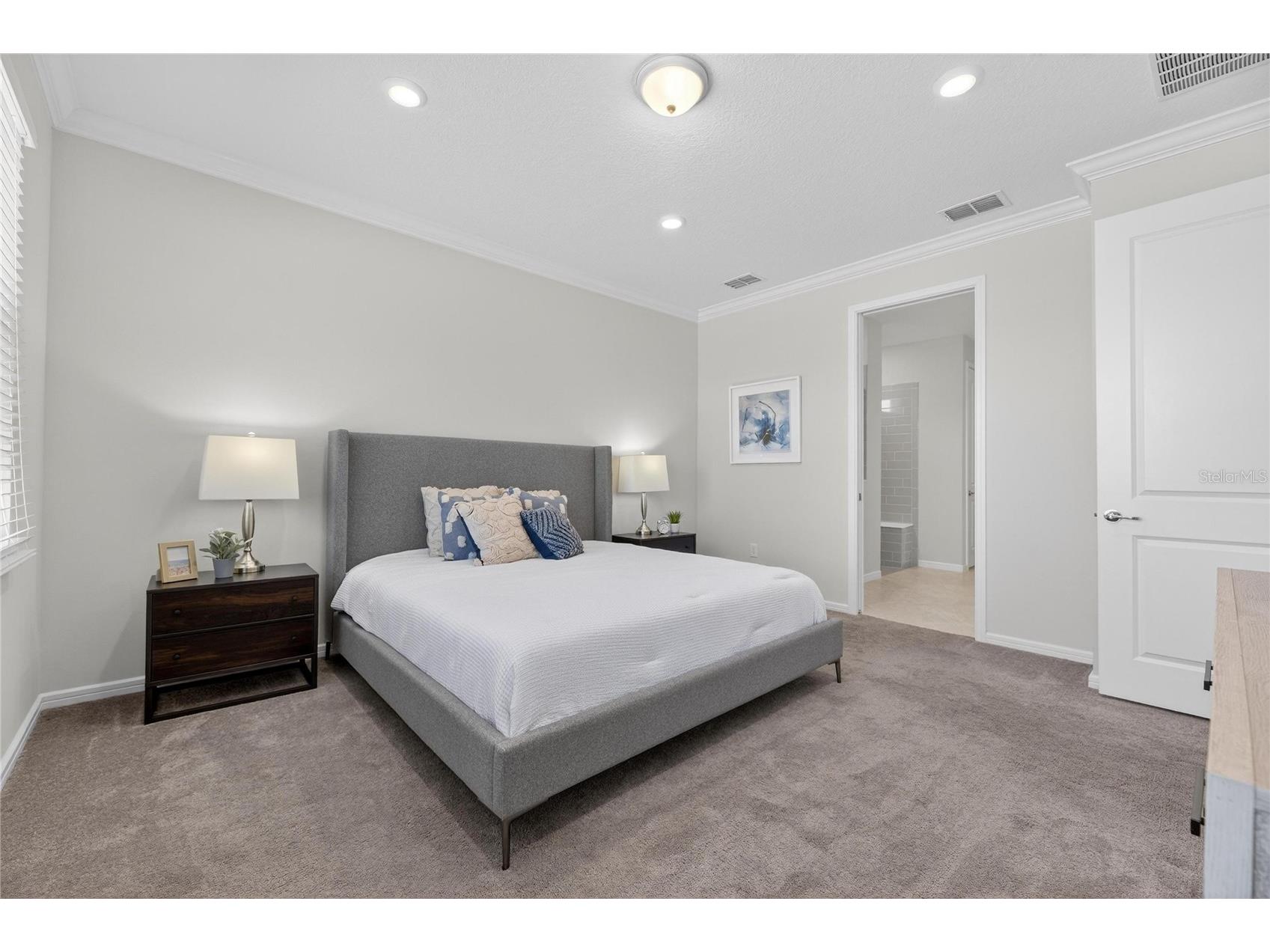 18535 Coastal Shore Terrace Land O Lakes FL 34638 S5142761 image35