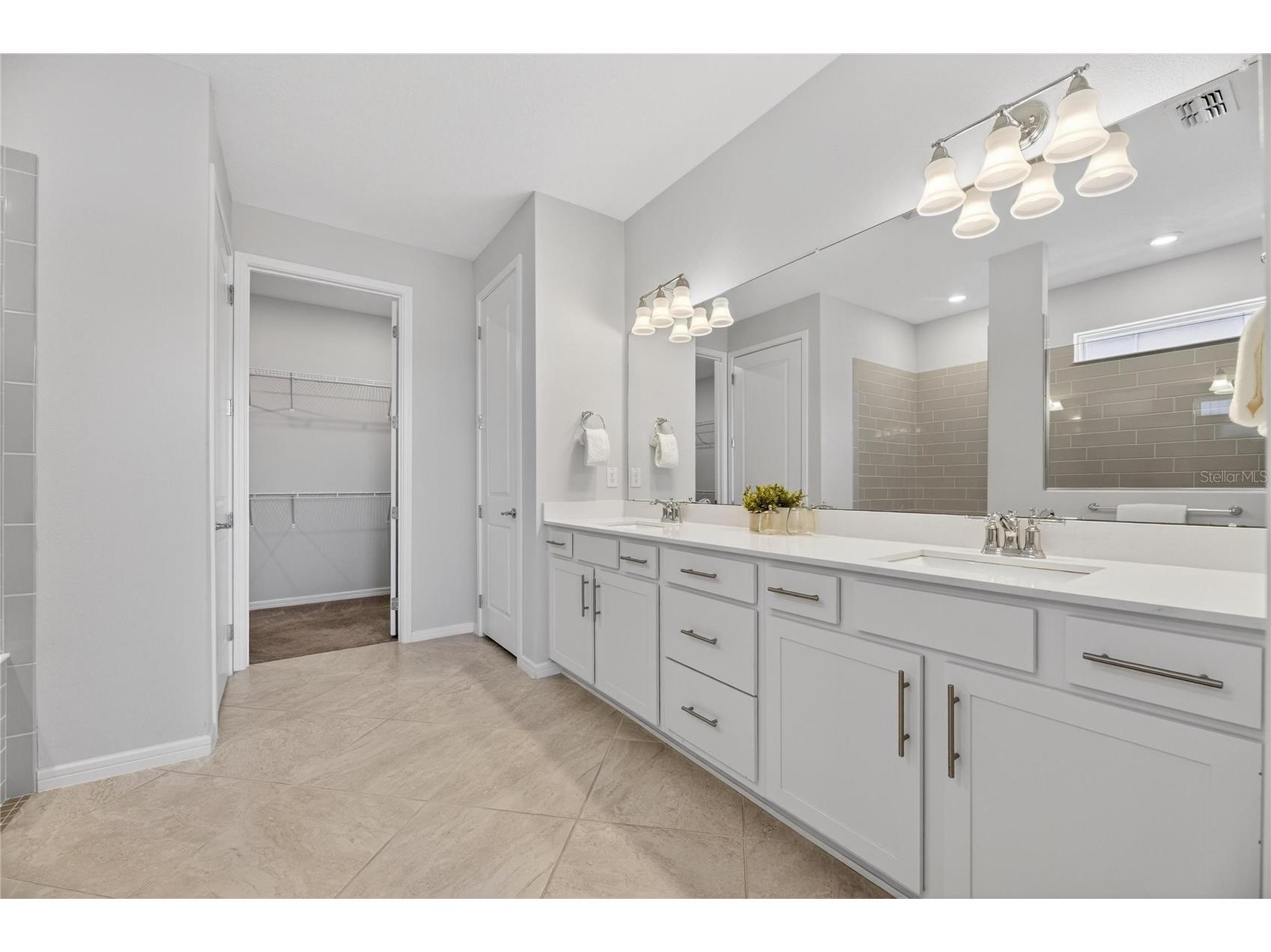 18535 Coastal Shore Terrace Land O Lakes FL 34638 S5142761 image37