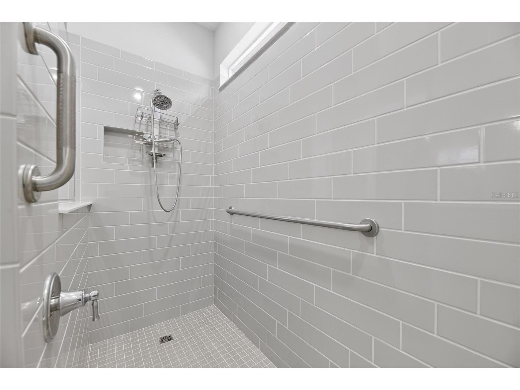 18535 Coastal Shore Terrace Land O Lakes FL 34638 S5142761 image40