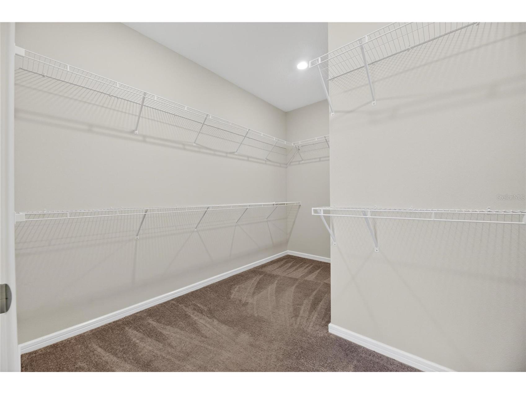 18535 Coastal Shore Terrace Land O Lakes FL 34638 S5142761 image41