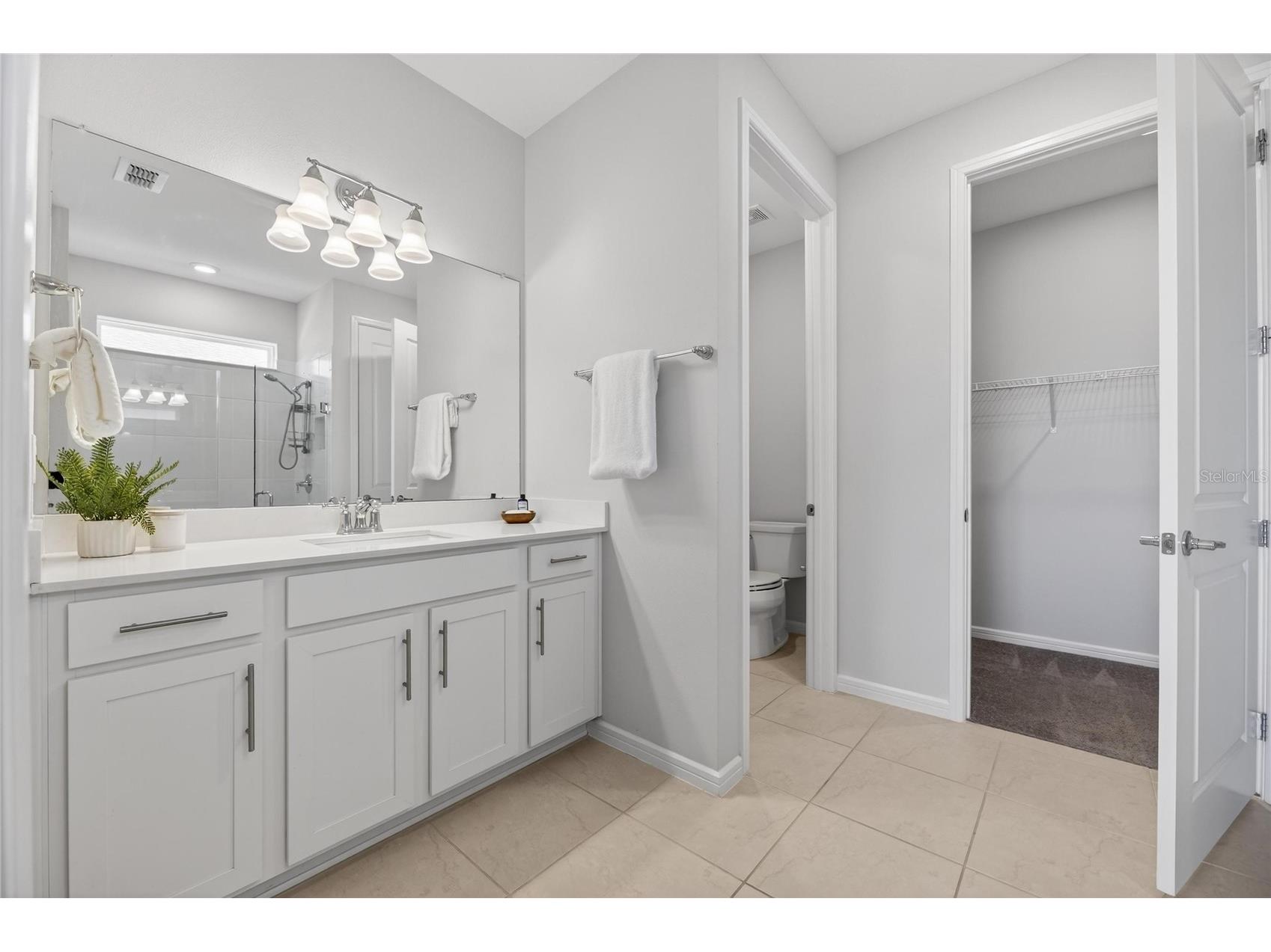 18535 Coastal Shore Terrace Land O Lakes FL 34638 S5142761 image44