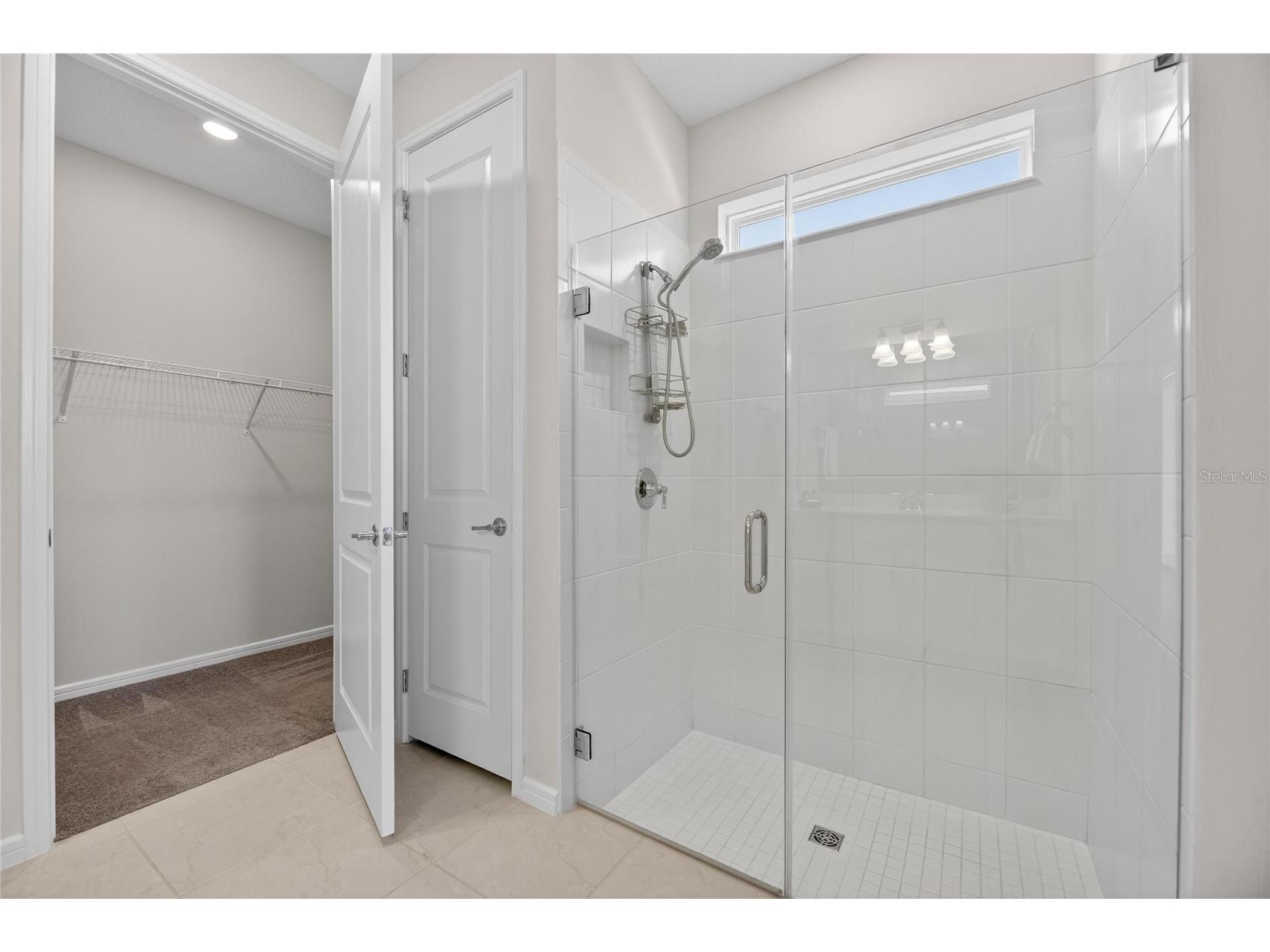 18535 Coastal Shore Terrace Land O Lakes FL 34638 S5142761 image45