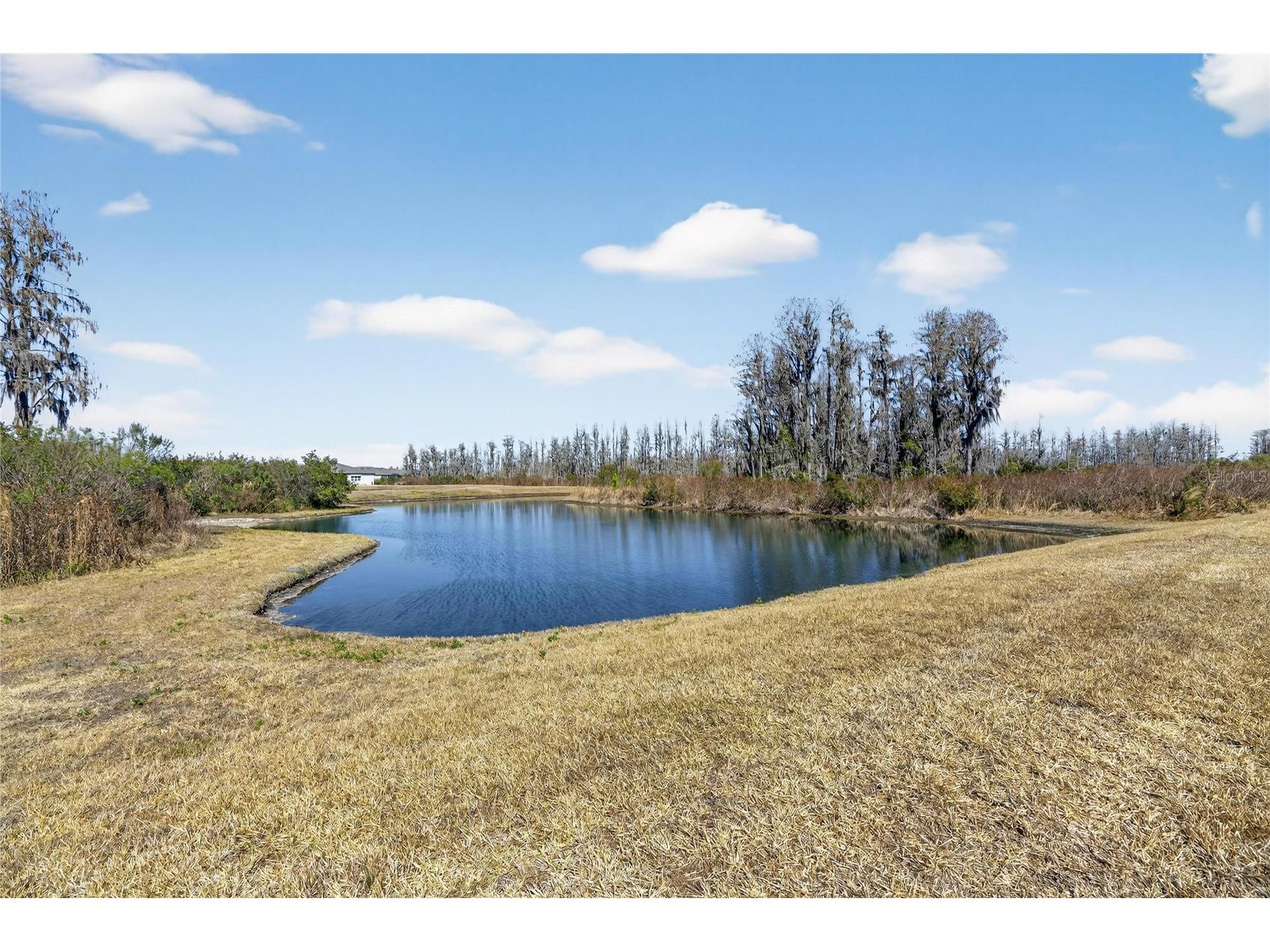 18535 Coastal Shore Terrace Land O Lakes FL 34638 S5142761 image53