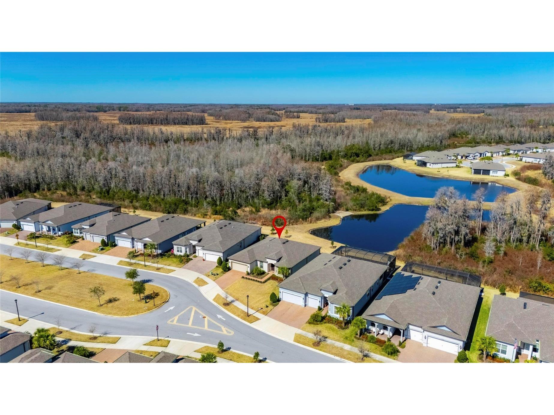 18535 Coastal Shore Terrace Land O Lakes FL 34638 S5142761 image60