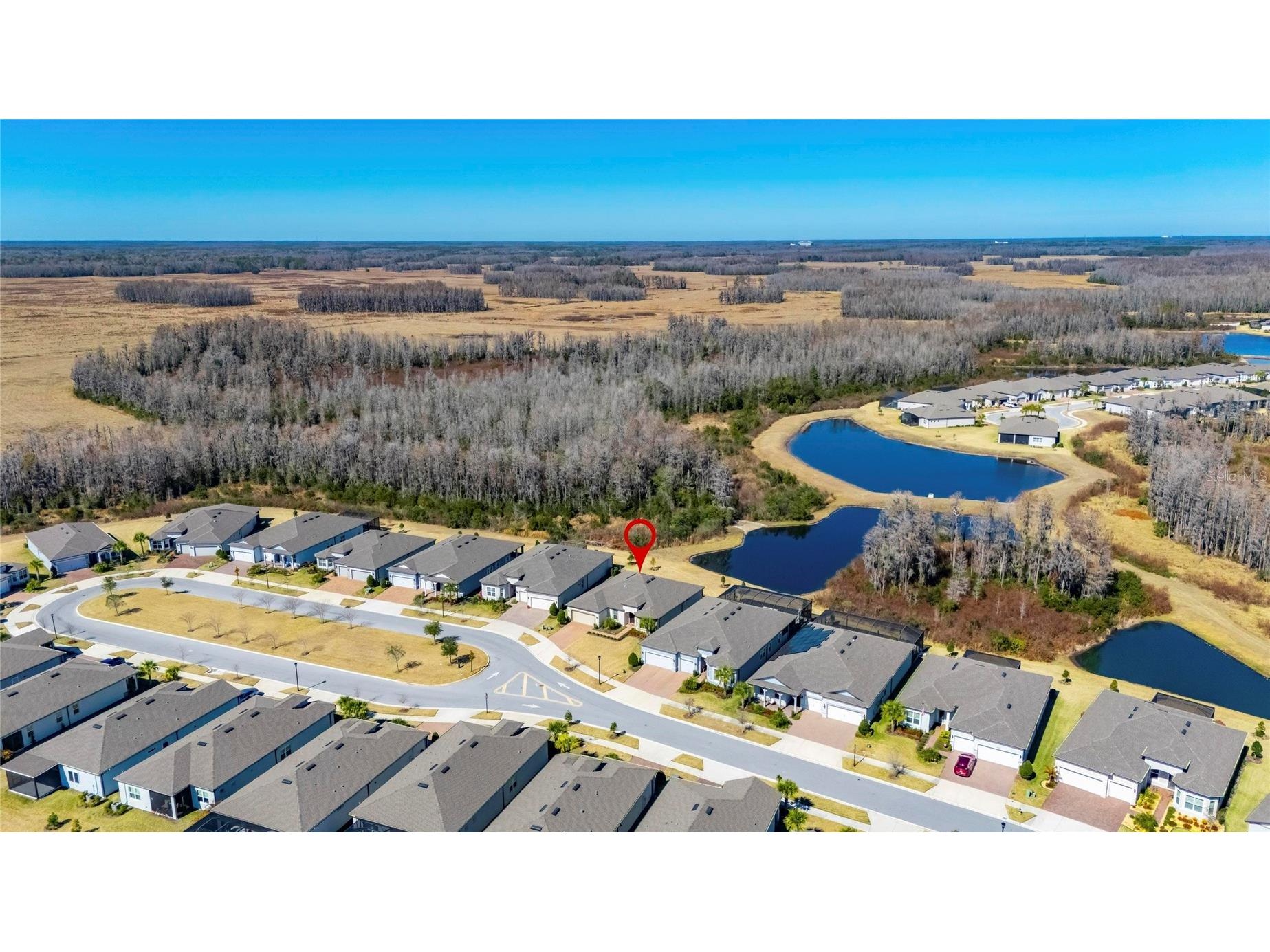 18535 Coastal Shore Terrace Land O Lakes FL 34638 S5142761 image61