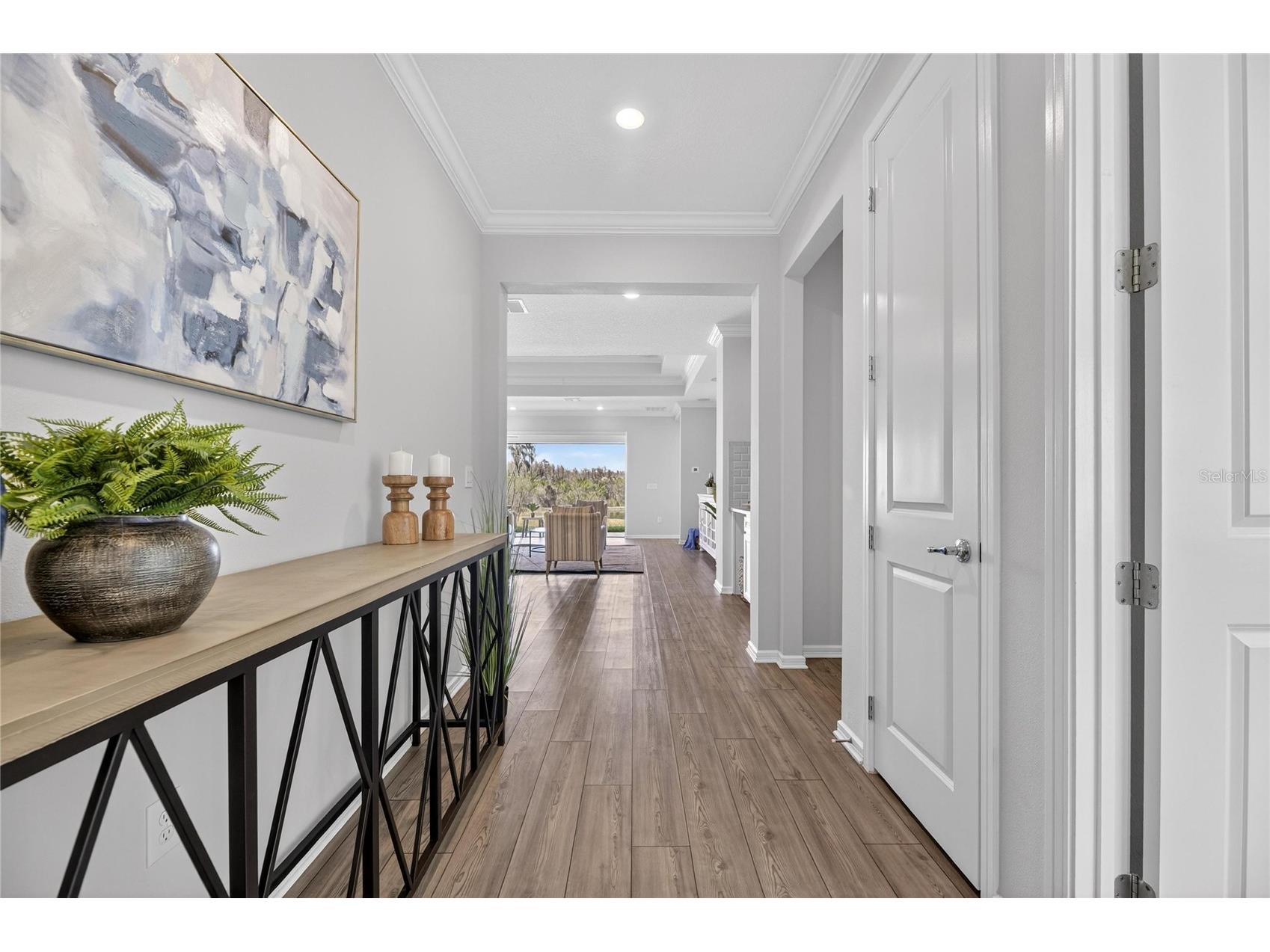 18535 Coastal Shore Terrace Land O Lakes FL 34638 S5142761 image8