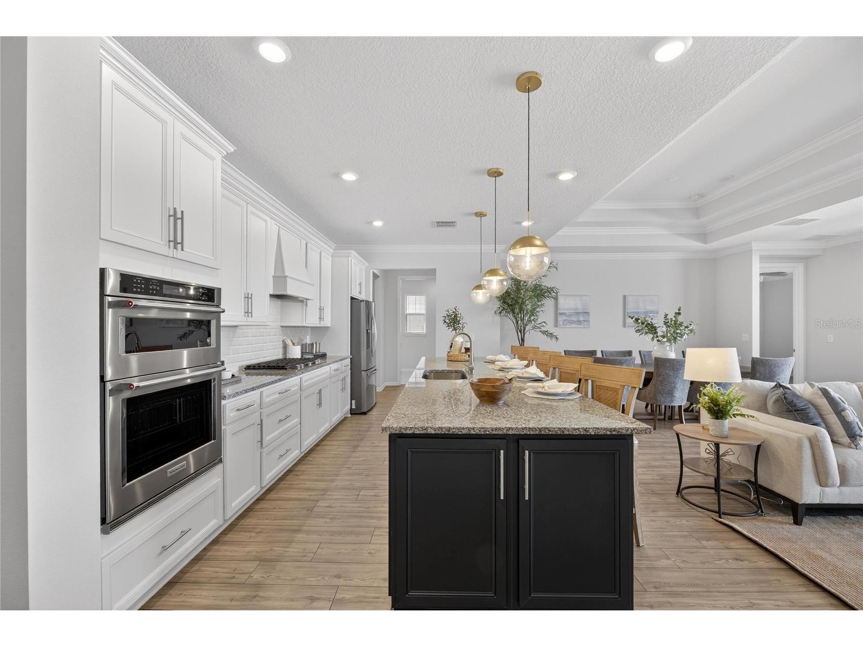 18535 Coastal Shore Terrace Land O Lakes FL 34638 S5142761 image9