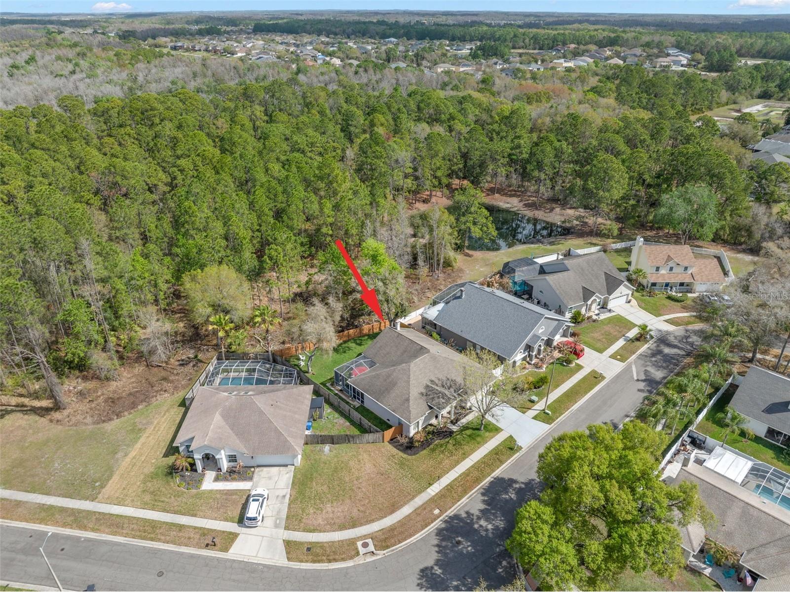 18536 Otterwood Avenue Tampa FL 33647 TB8484948 image2