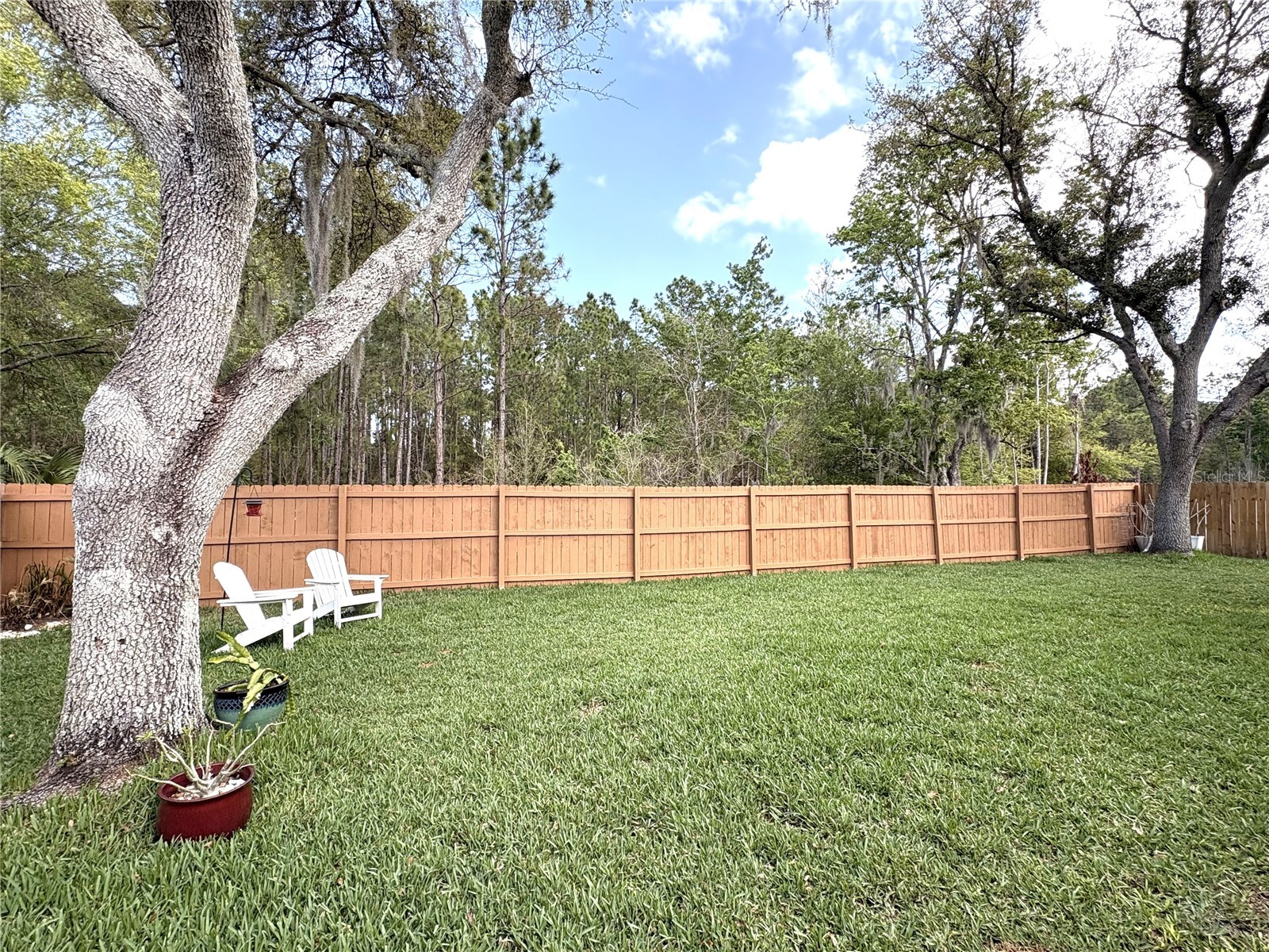 18536 Otterwood Avenue Tampa FL 33647 TB8484948 image3