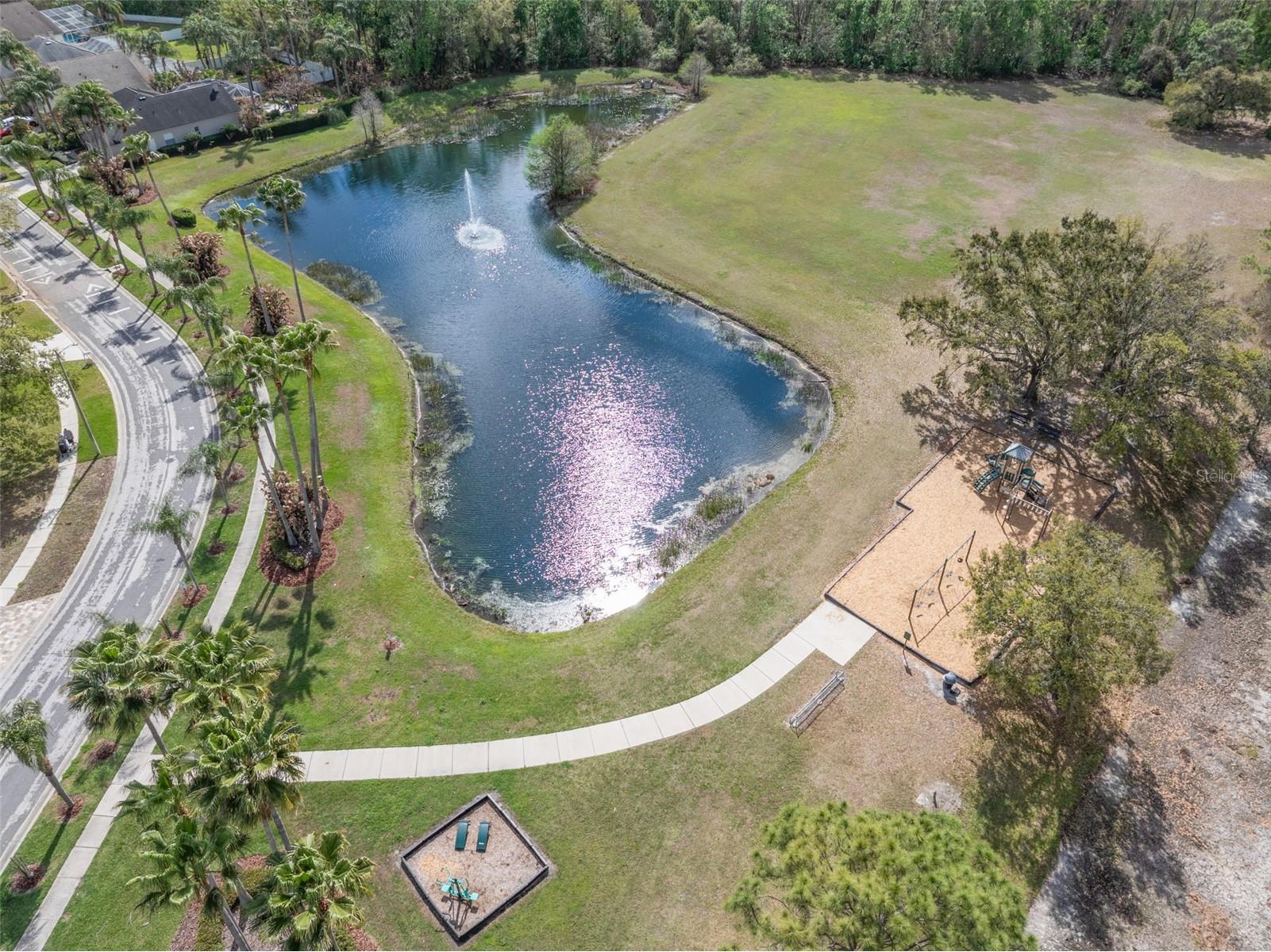 18536 Otterwood Avenue Tampa FL 33647 TB8484948 image42