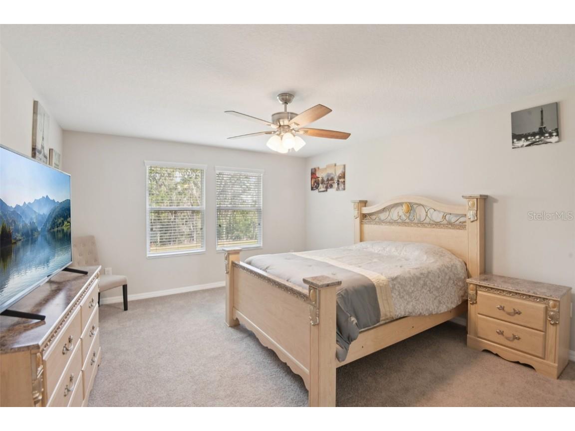 18537 Lafuente Court Spring Hill FL 34610 TB8451454 image25