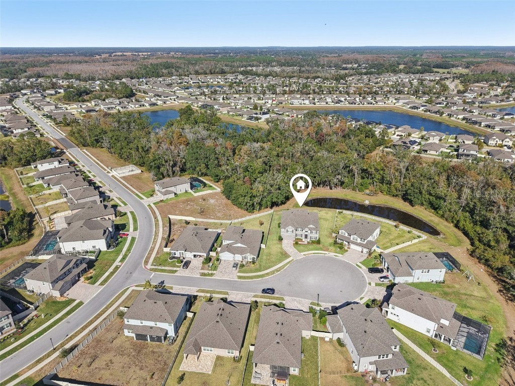 18537 Lafuente Court Spring Hill FL 34610 TB8451454 image40