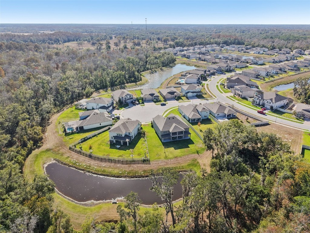 18537 Lafuente Court Spring Hill FL 34610 TB8451454 image41