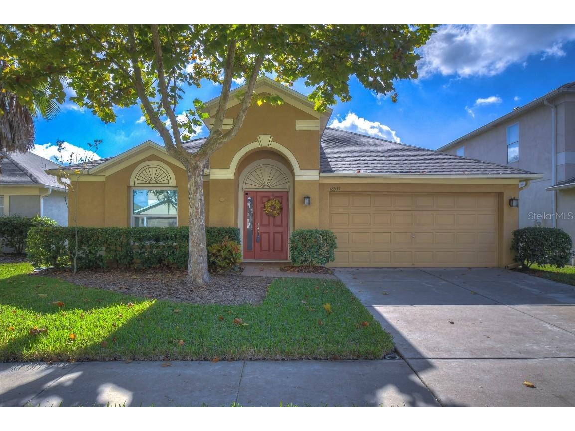 18537 Merseyside Loop Land O Lakes FL 34638 T3486560 image1