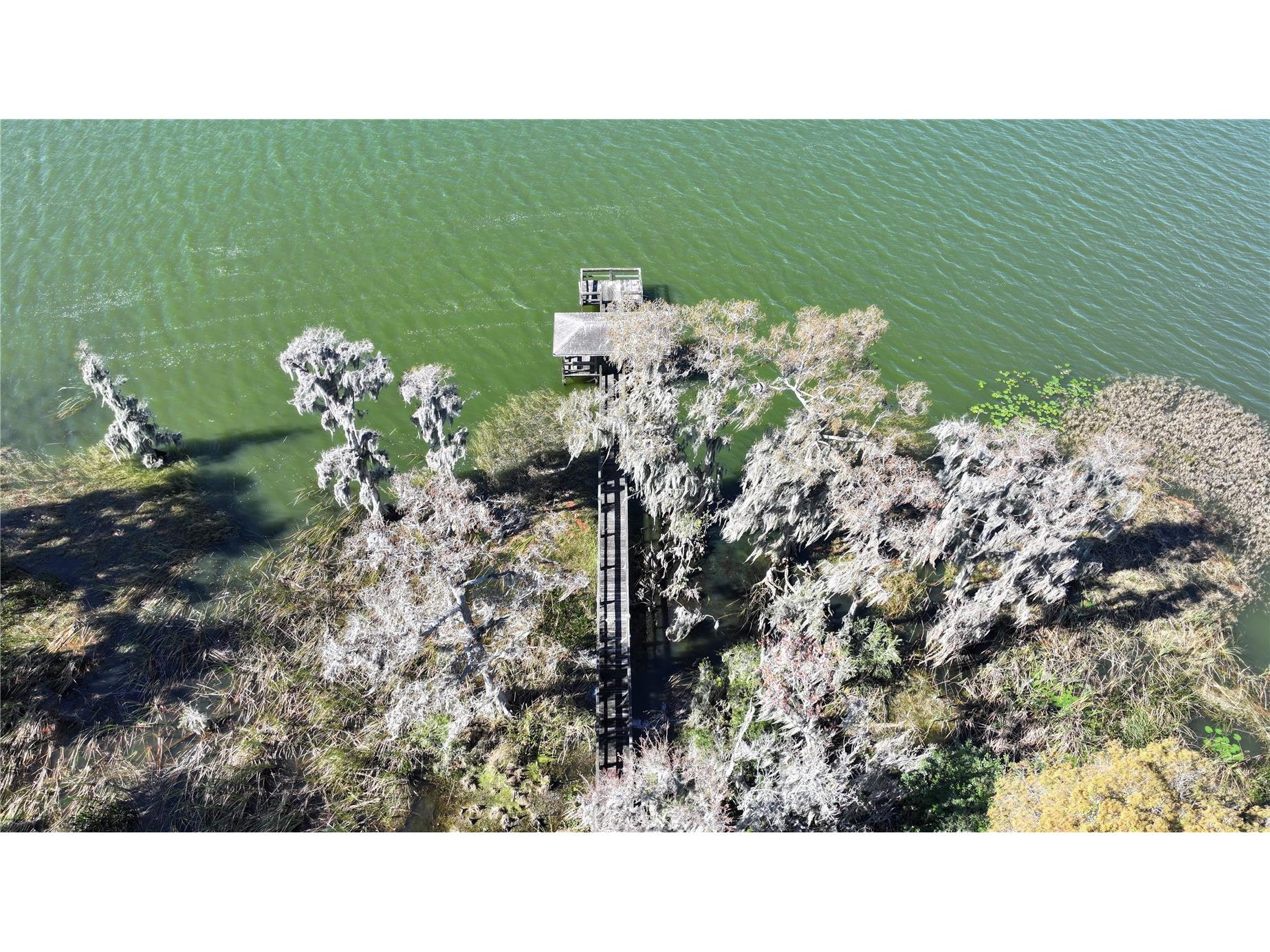 1854 Eloise Cove Drive Winter Haven FL 33884 - LAKE ELOISE L4958664 image66