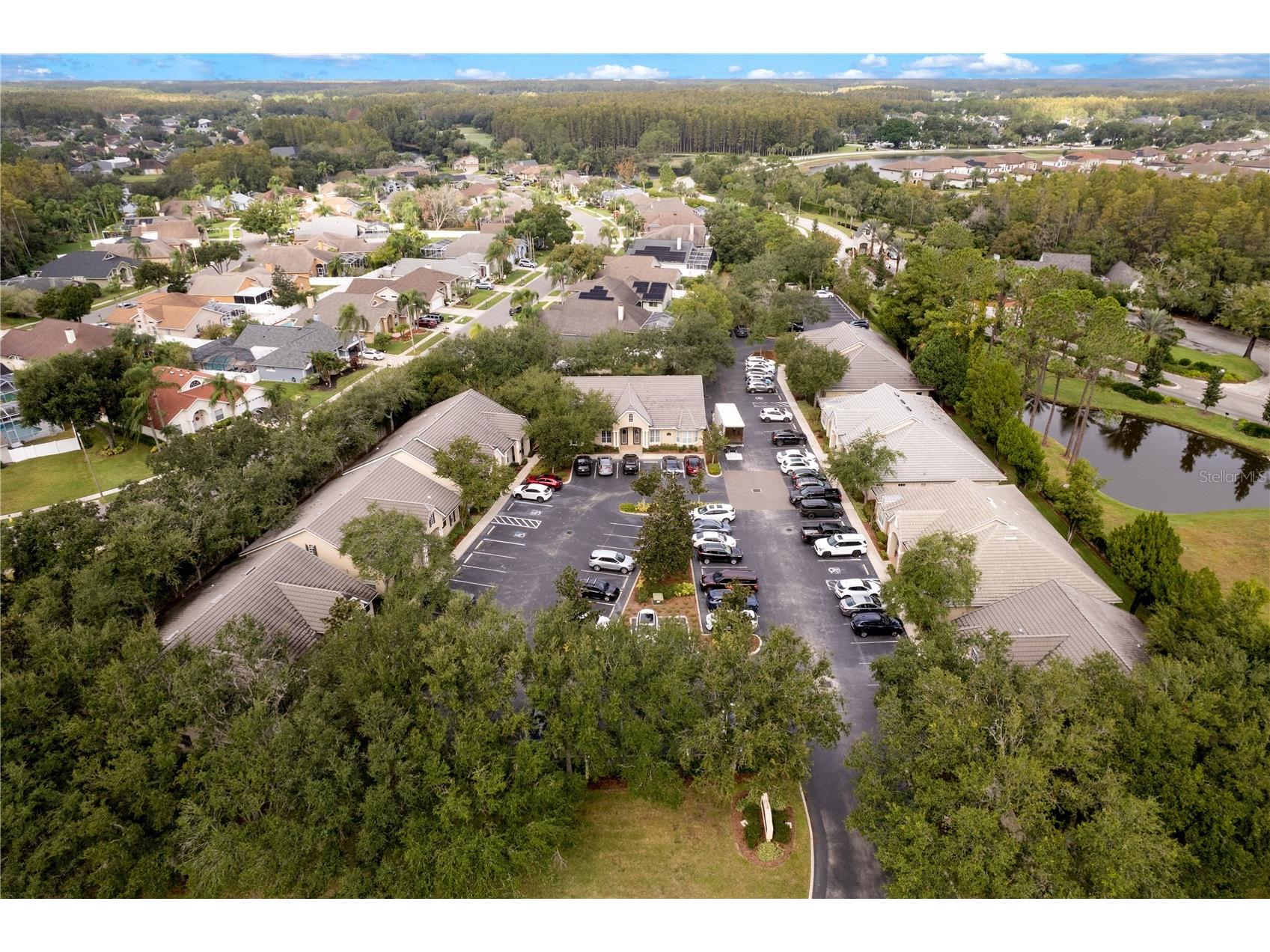 18540 N Dale Mabry Highway Lutz FL 33548 TB8441853 image36