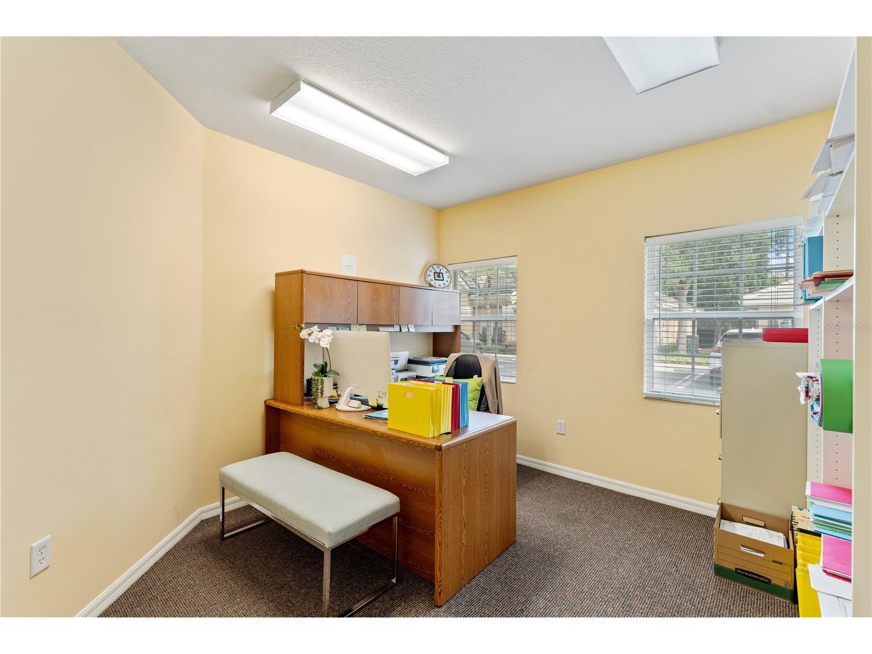 18540 N Dale Mabry Highway Lutz FL 33548 TB8441853 image6