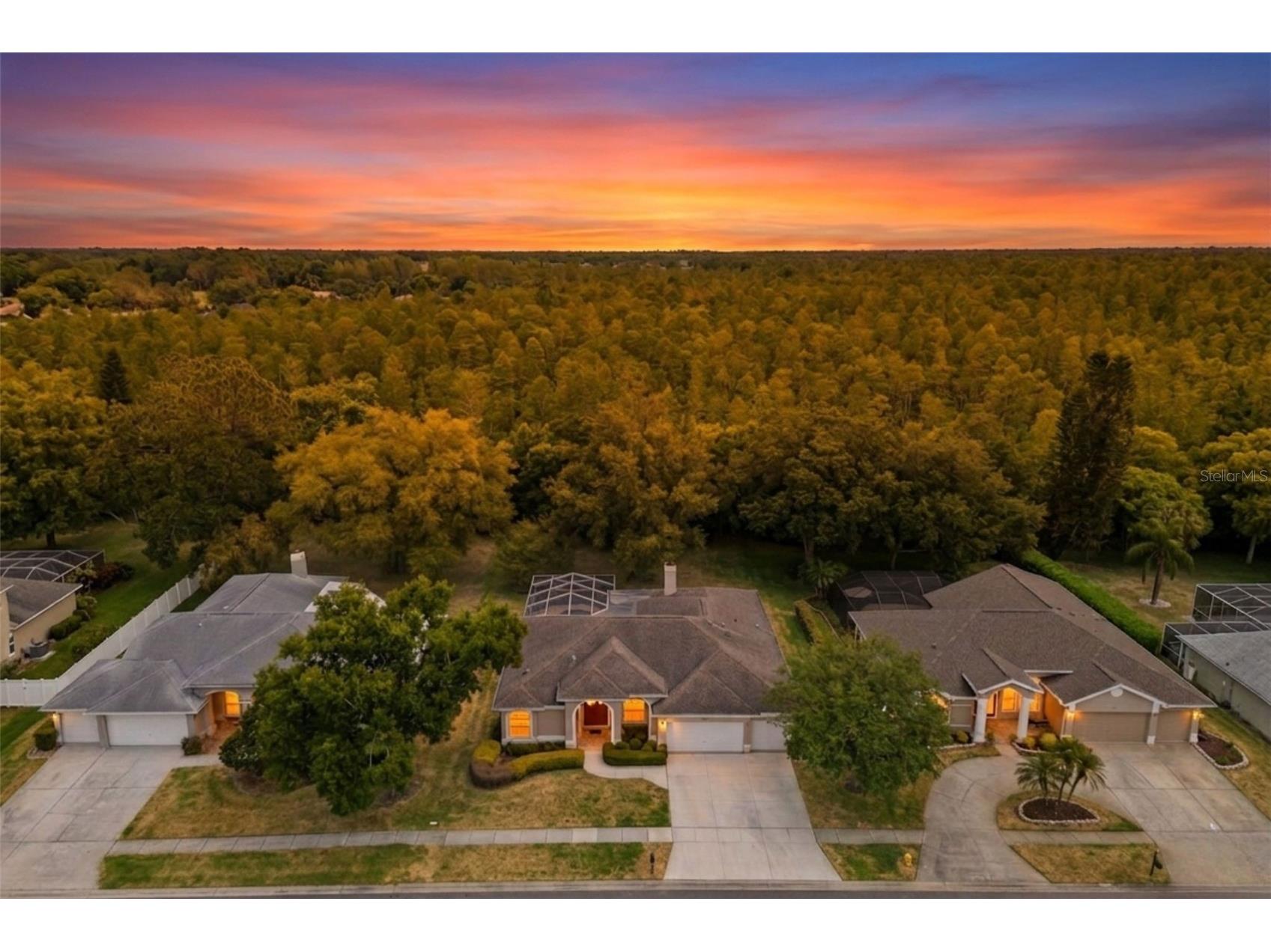 18543 Bittern Avenue Lutz FL 33558 TB8501276 image1